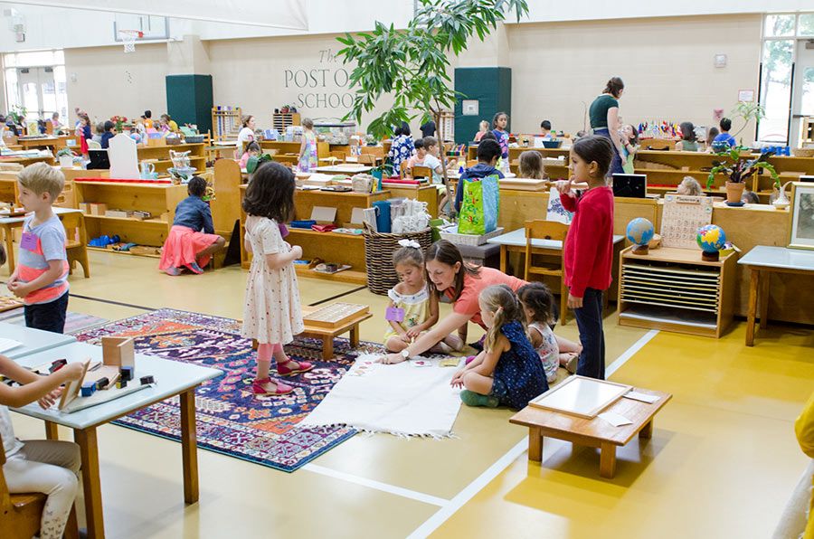 Is Montessori Right for Your Child? Key Questions to Ask